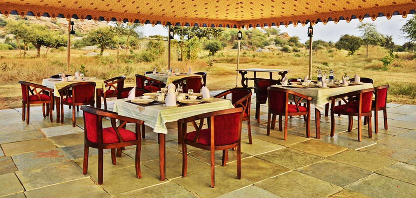 Jawai Leopard Safari